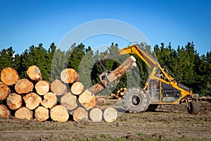 Heavy yellow machinery is used to stack logs at a logging site