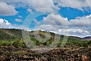 Heber Overgaard, Navajo County, Sitgreaves National Forest, Arizona, United States