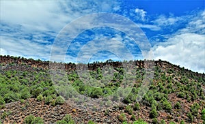 Heber Overgaard, Navajo County, Sitgreaves National Forest, Arizona, United States