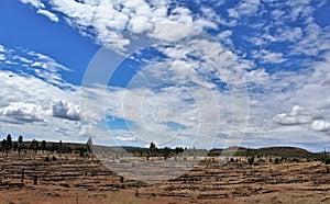 Heber Overgaard, Navajo County, Sitgreaves National Forest, Arizona, United States