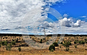 Heber Overgaard, Navajo County, Sitgreaves National Forest, Arizona, United States