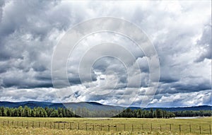 Heber Overgaard, Navajo County, Sitgreaves National Forest, Arizona, United States