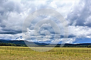 Heber Overgaard, Navajo County, Sitgreaves National Forest, Arizona, United States