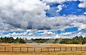 Heber Overgaard, Navajo County, Sitgreaves National Forest, Arizona, United States