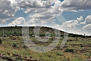 Heber Wild Horse Territory, Apache Sitgreaves National Forests, Arizona, United States