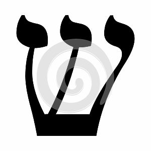 Hebrew letter Shin