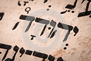 Hebrew word in Torah page. English translation is name Judah, the founder of the Israelite Tribe of Judah