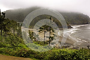 Heceta head beach along the central Oregon coast.