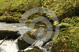 Heddon valley rapids swelled up after heavy rainfall