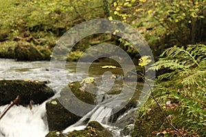 Heddon valley rapids swelled up after heavy rainfall