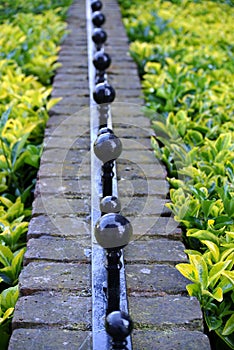 Hedge and boundary wall