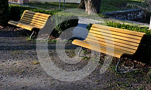 Hedge of boxwood and pine tree trunk by the road in the park with curved benches by the pond. wood paneled entice you to sit down.