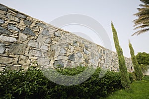 Hedge In Front Of Stone Wall