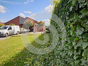 hedge gardener workvan trees