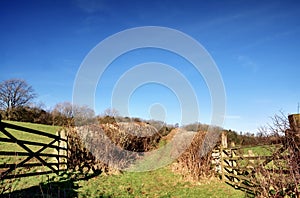 Hedge lined country trackway with gates