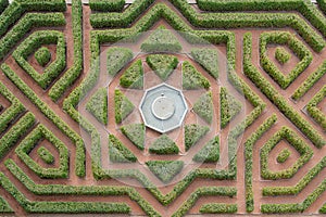 Hedge maze photo