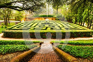 Hedge maze in Colonial Williamsburg, Virginia photo