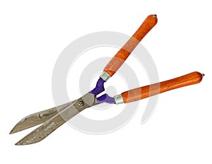 Hedge pruning shears isolated on a white background