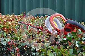 Hedge trimmer with safety guard on hedge outdoors