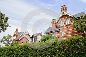 Hedged European style houses in blue sky