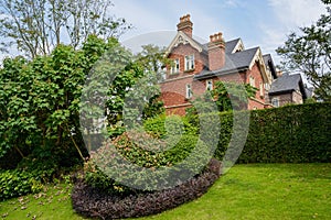 Hedged European-style houses in sunny autumn