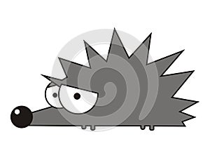 Hedgehog