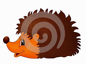 Hedgehog