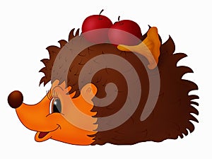 Hedgehog