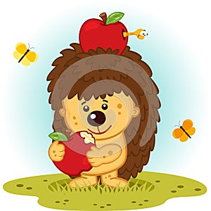 Hedgehog with apples