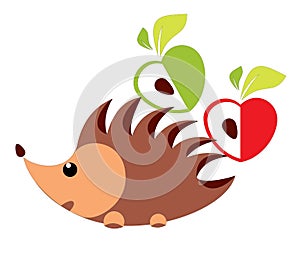 Hedgehog with apples - illustration