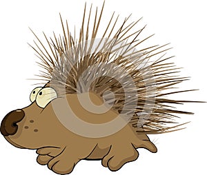 Hedgehog. Cartoon