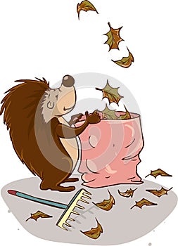 Hedgehog collect leaves