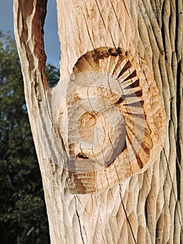 Hedgehog curved from wood