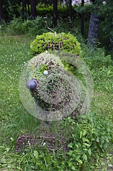 Hedgehog figure made of plant