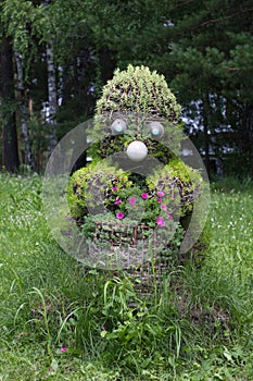 Hedgehog figure made of plant