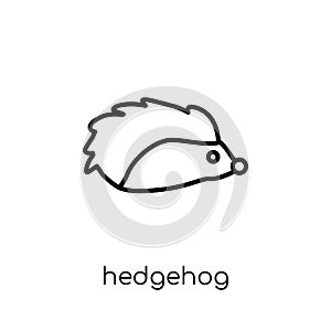 Hedgehog icon. Trendy modern flat linear vector Hedgehog icon on