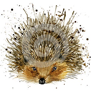 Hedgehog illustration with splash watercolor textured background photo