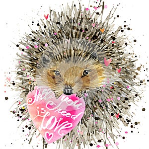 Hedgehog illustration with valentines heart, photo