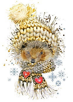 hedgehog in a knitted hat with snowflake. watercolor winter wild forest animal illustration.