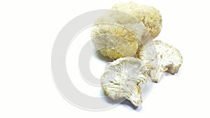 Hedgehog Mushroom