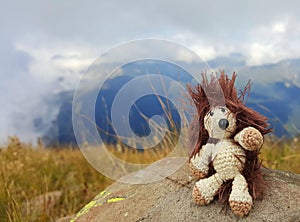 Hedgehog and nature photo