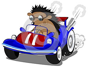 Hedgehog the racer