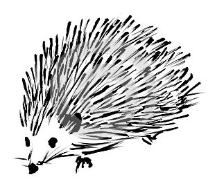 Hedgehog spontaneous sketch