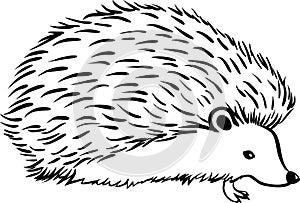 Hedgehog stylization icon logo. Line sketch