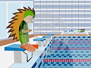 Hedgehog swimmer. Vector illustration