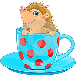 Hedgehog in the tea cup