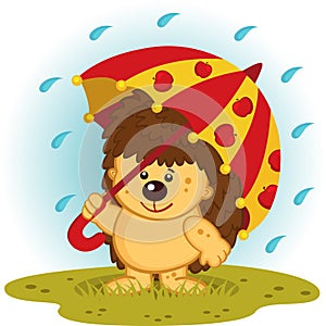 Hedgehog with umbrella in rain photo