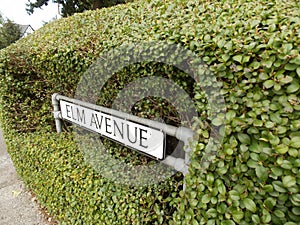 Hedgerow cut to reveal street sign