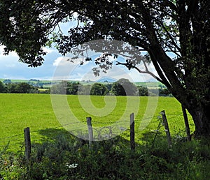 Hedgerow, meadow and mountain