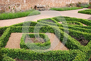 Hedging Topiary photo